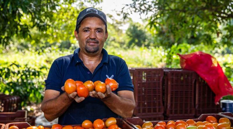 Agricultores-con-mejores-ganancias-800x445