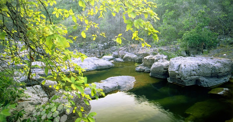 RIO-SAPO