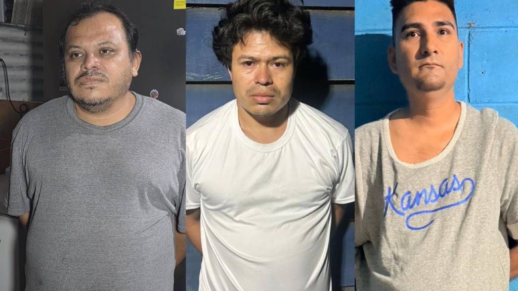 a-estructura-dedicada-al-hurto-y-comercializacion-ilegal-de-servicios-de-internet