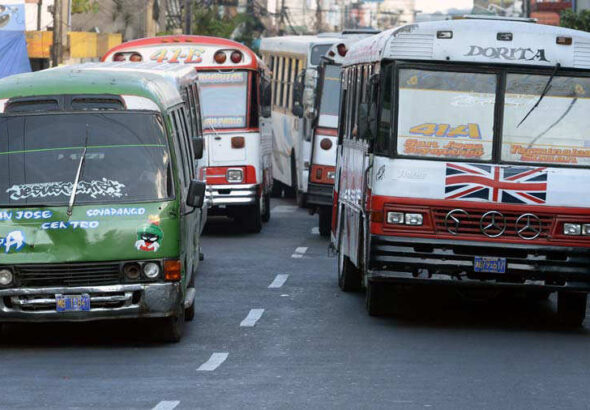 Buses1