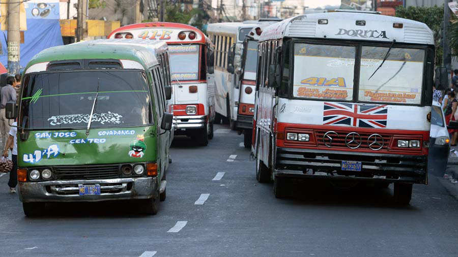 Buses1